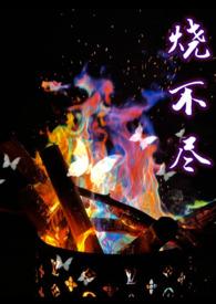 烧不尽1v1h