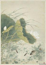 野有蔓草全诗原文