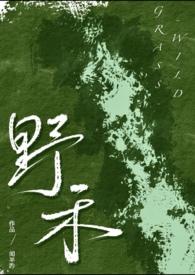 伪兄妹r文推荐