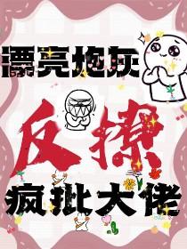 漂亮的炮灰反派NP