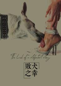 败犬角色是什么意思