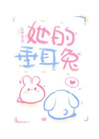 秘密书讲的是什么