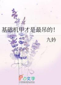 机甲是哪套
