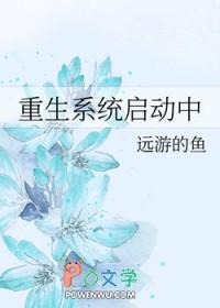 进入系统 重启