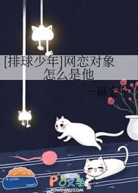 排球少年最火的cp