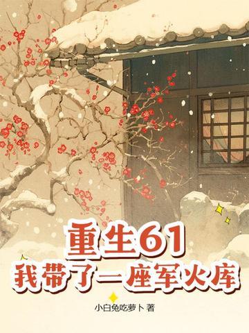 我带了一座军火库免费全文阅读