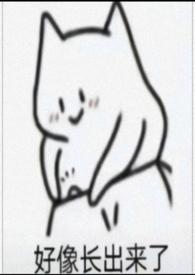 那个男人被玩坏了