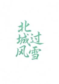 北城有雪免费阅读全文无弹窗