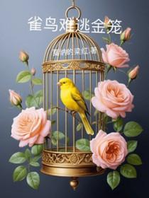 雀鸟与金笼番外