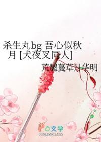 吾心似秋月全本TXT