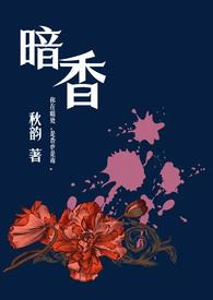 暗香免费阅读章节