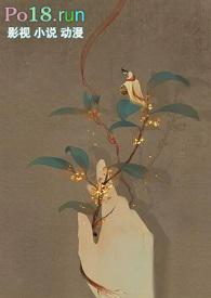 穿书女配正上记格格党