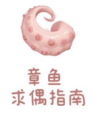 章鱼求偶指南txt百度