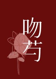 先吻后恋爱bilibili