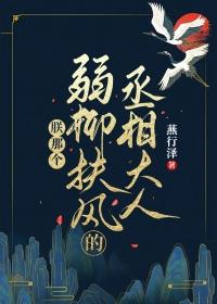 朕那个弱柳扶风的丞相大人免费阅读全文