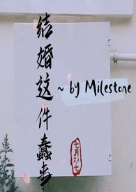 结婚这件蠢事by李程碑
