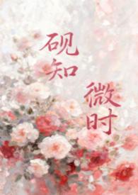 砚知新人才科技有限公司