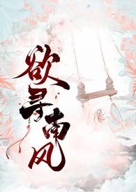 欲寻南风(古风断案)讲的什么