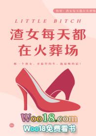 快穿 渣女她每天都在火葬场