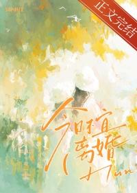 今天适合离婚吗
