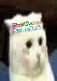 穿成一只猫后np