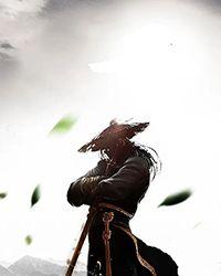 我有一个剑仙娘子好看吗