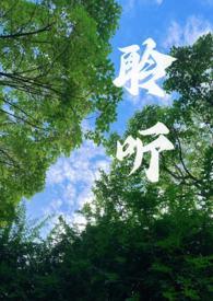 聆听...的声音