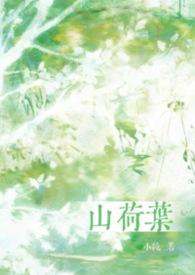 山荷叶花语
