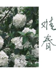 难兄难弟知乎
