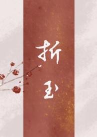 折玉补玉by