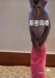 泡芙小姐泳装大赛在第几集