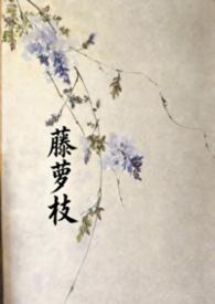 他很撩很宠藤萝为枝