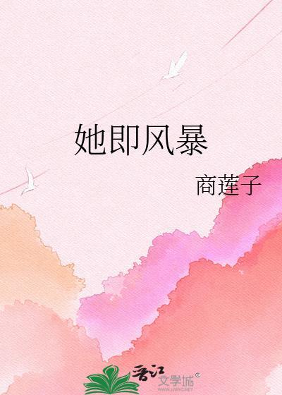 她即风暴txt百度