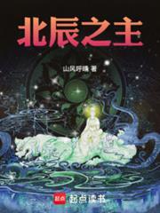 北辰之主 笔趣阁