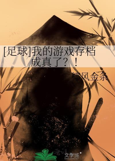 我的足球生涯