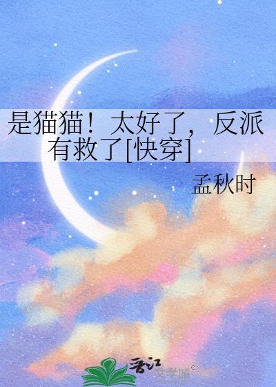 是猫猫图片