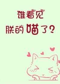 谁看见朕的喵了免费阅读