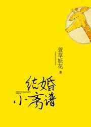 结婚又和离名字