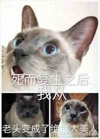 死而复生后我从老头子变成了绝世大美人