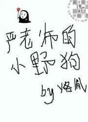 严老师短剧大结局是什么