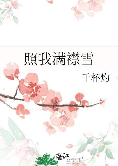 照我满襟雪by千杯灼