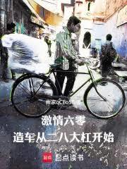 激情燃烧在六零番外