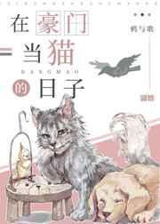 在豪门宠文女主角