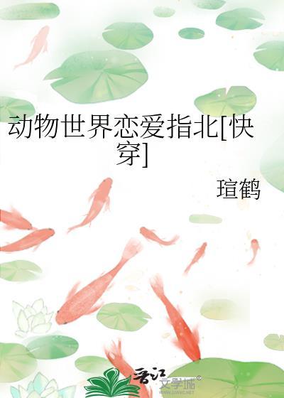 动物世界求爱