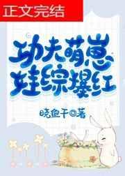 功夫功夫宝宝
