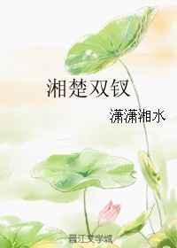双钗潇潇湘水