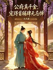 公府的意思是什么