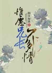 惟愿兄长不多情txt