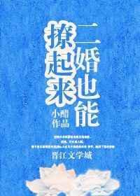 二婚也能撩起来txt