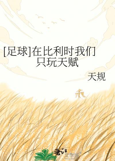 比利时dsu